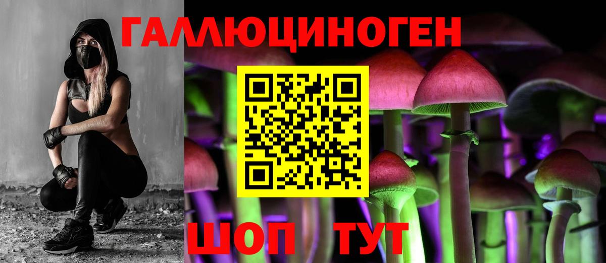 Меф кристаллы  Гурьевск  Cocaine  ГАШИШ  МЕТ  NBOMe  Вход с VPN  Бошки Шишки 